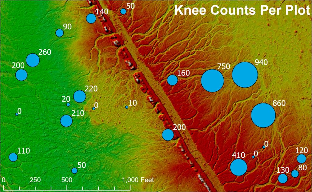 Map of bald cypress knee counts over shaded relief DEM