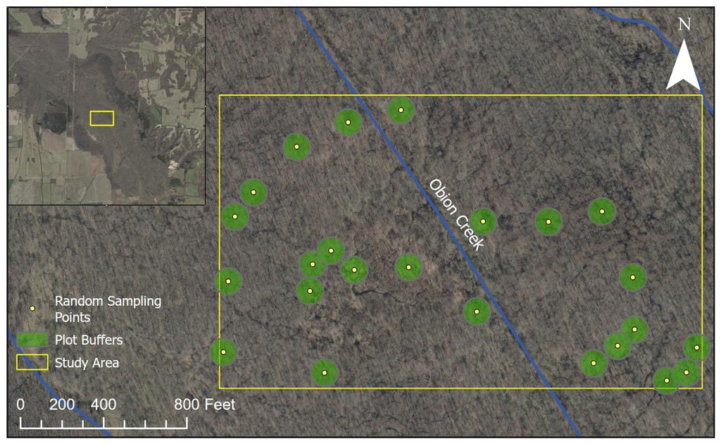 Study area map for bald cypress knee density project