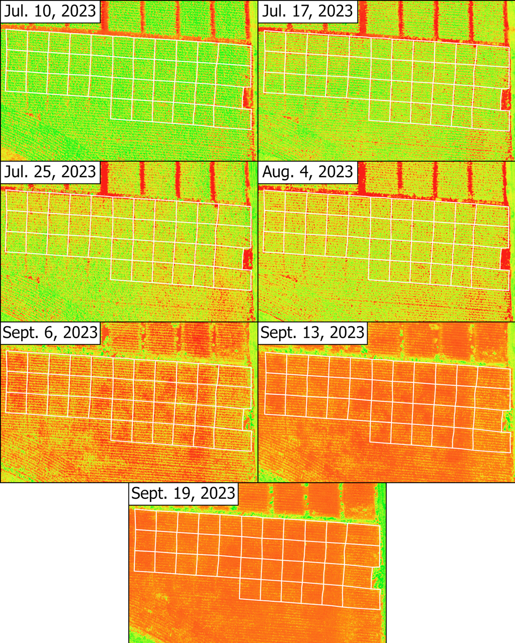 MCARI time series for corn plots
