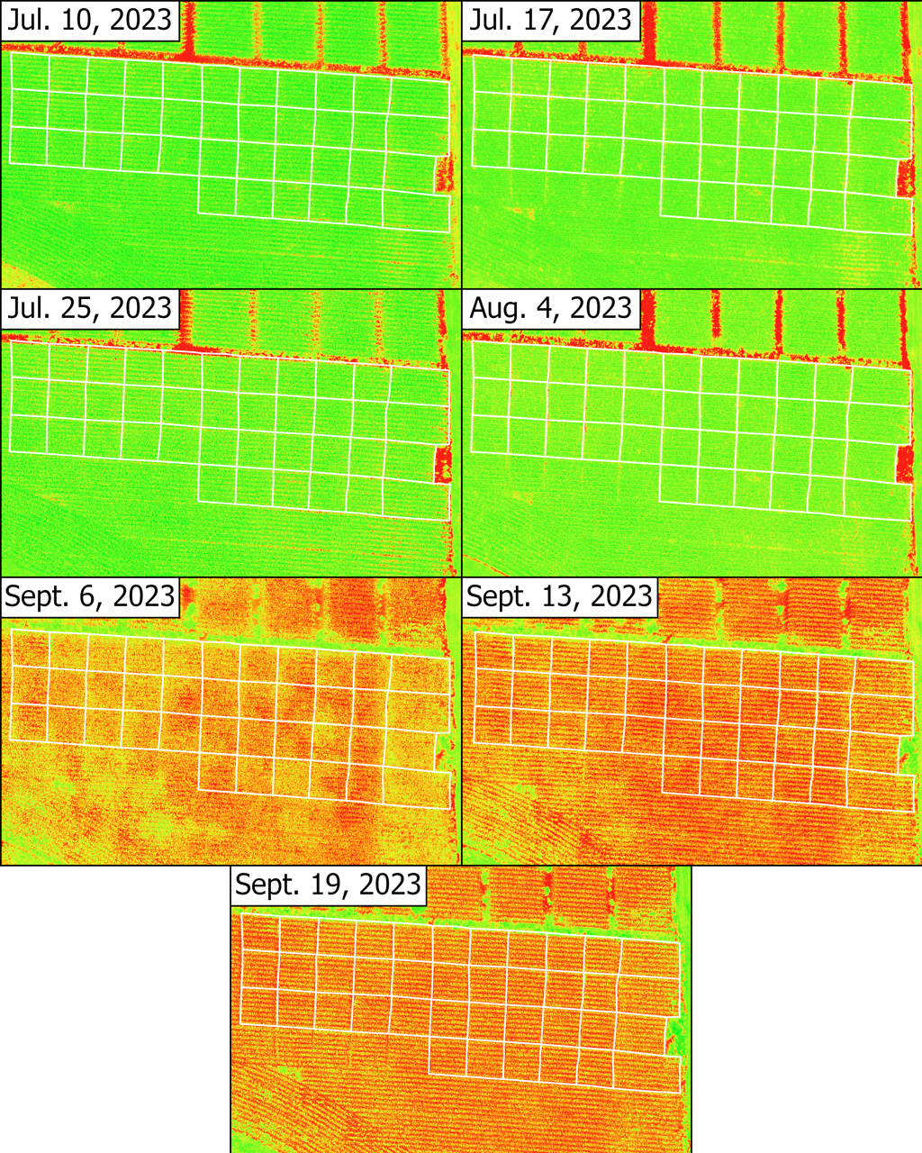 NDVI time series for corn plots