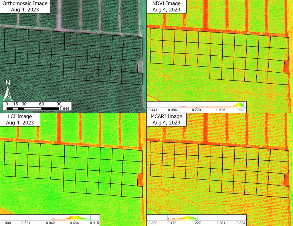 Vegetation index comparison for UAV corn project