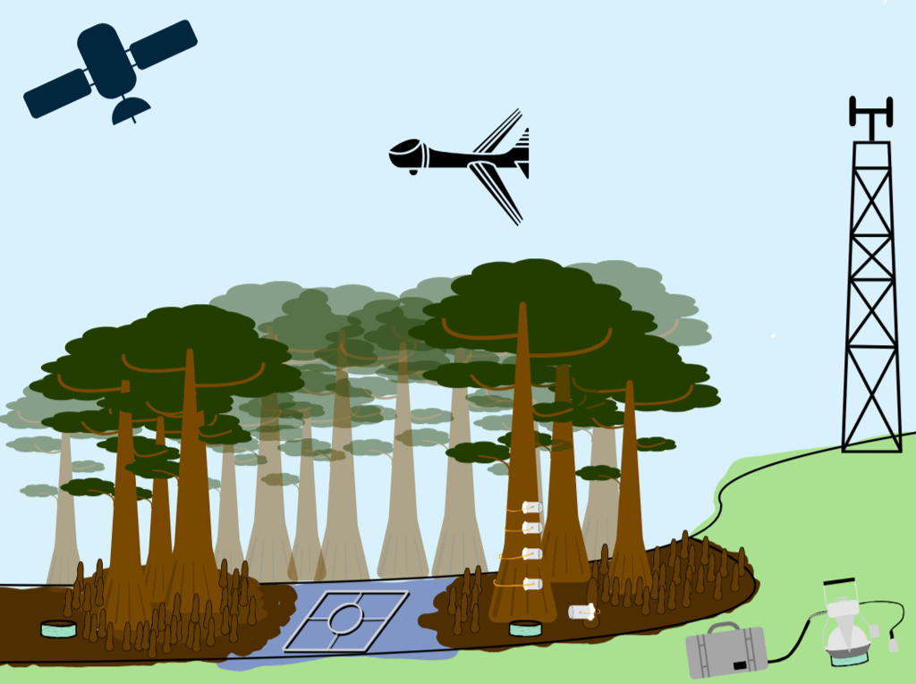 Sampling design graphic for wetland methane remote sensing workflow